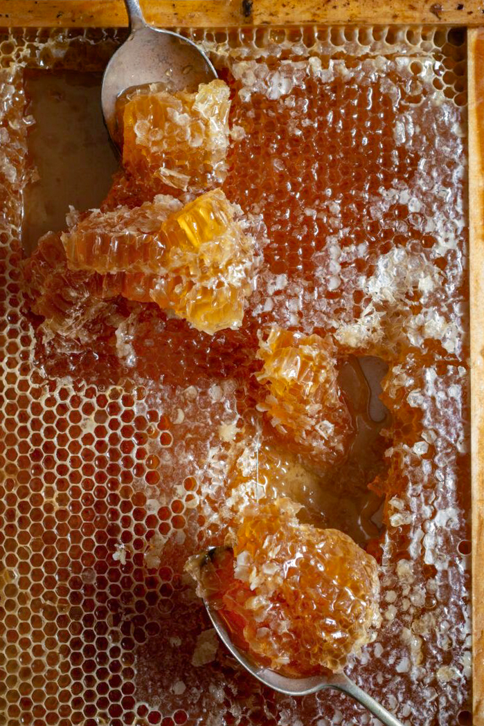 Raw Honey 750 ml - vista alternativa