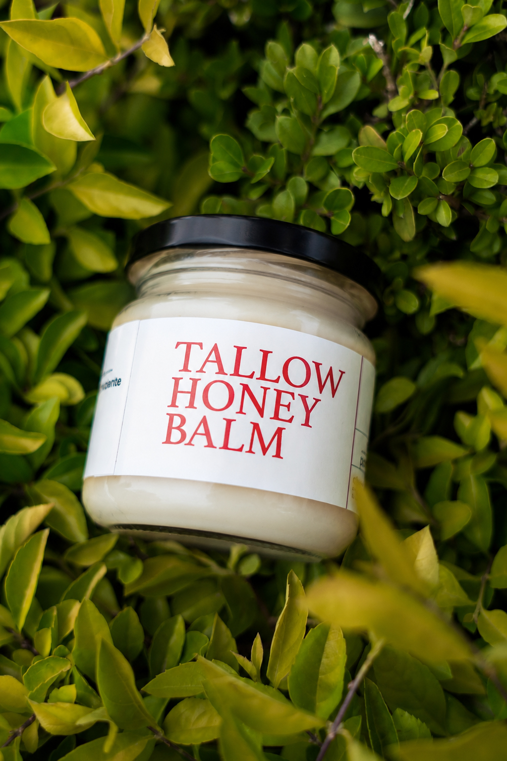 Tallow Honey Balm