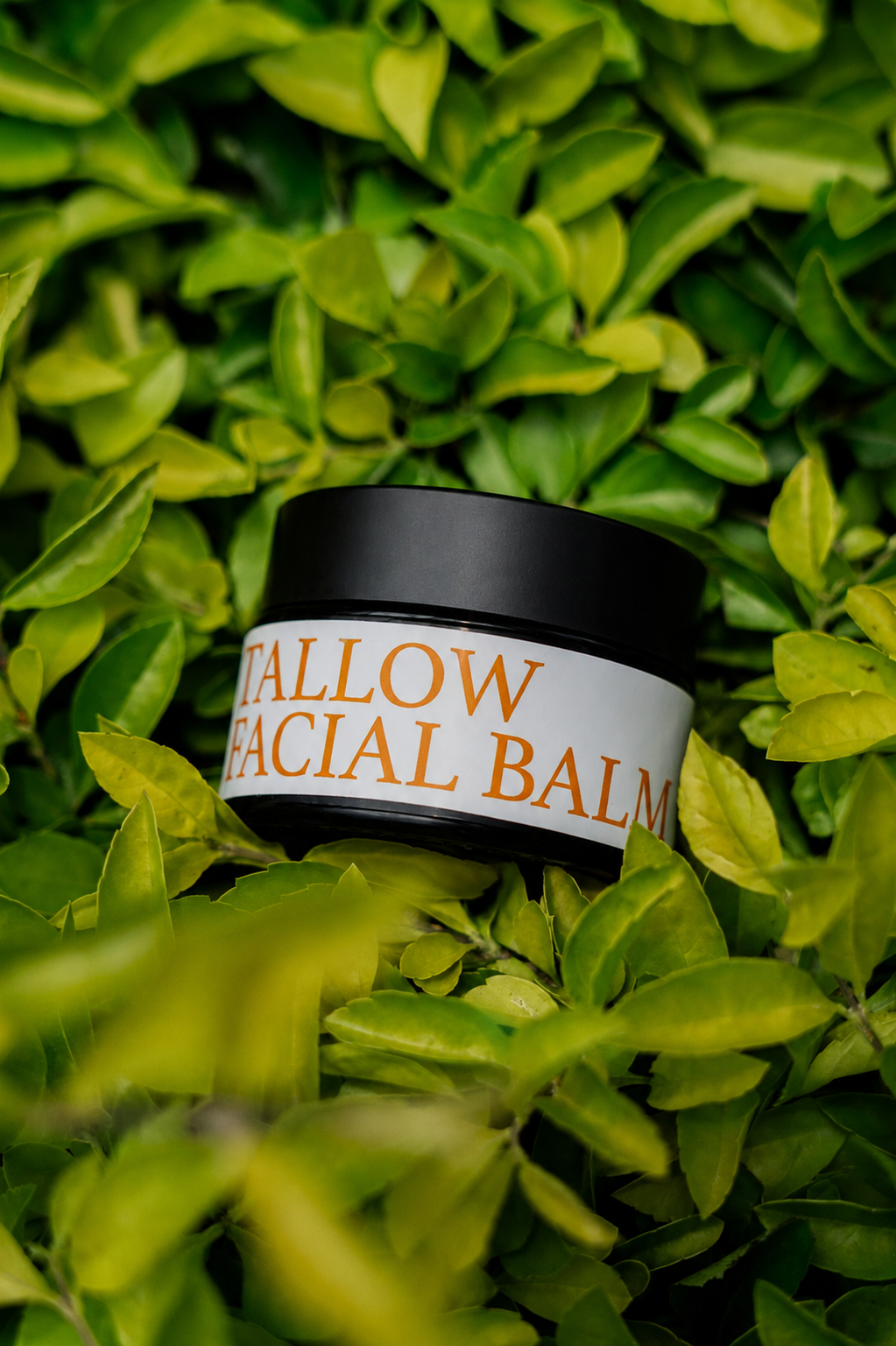 Tallow Facial Balm