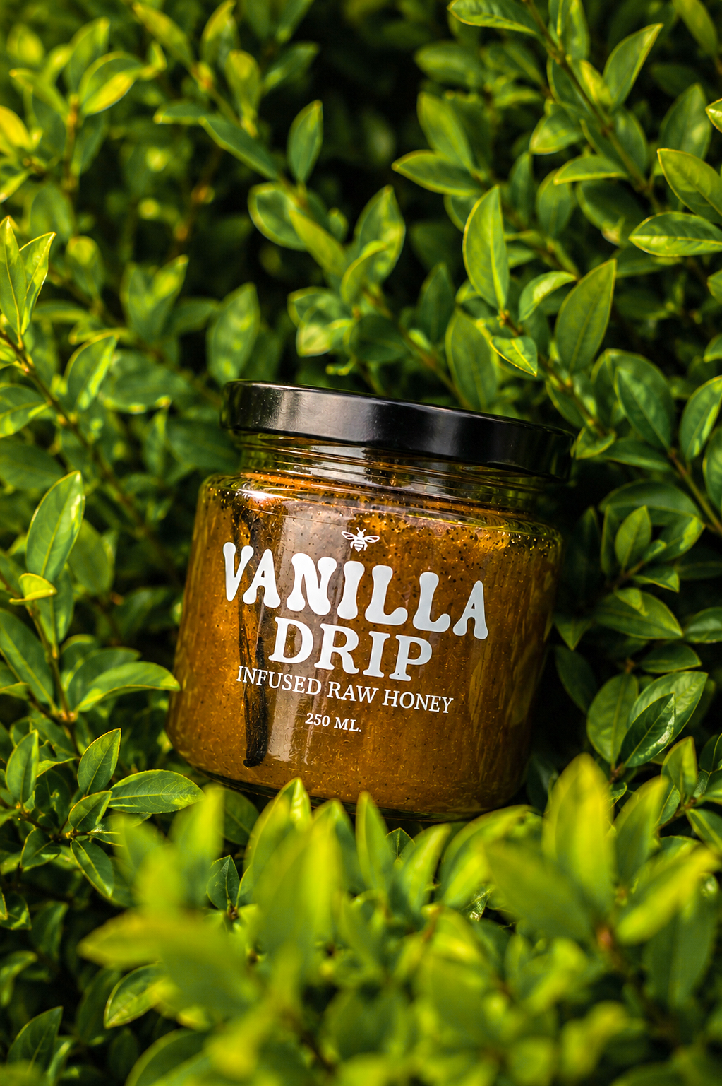 Vanilla Drip Honey - vista alternativa