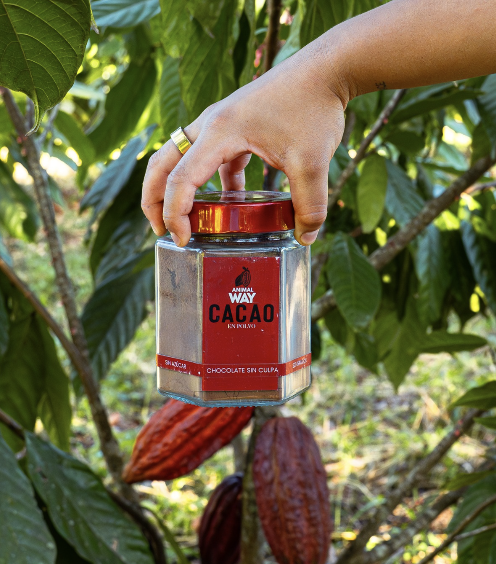 Cacao en Polvo 100%