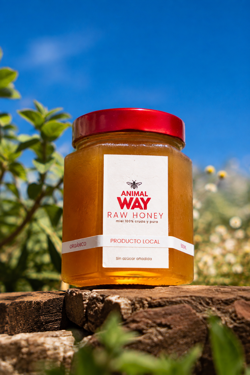 Raw Honey 500 ml