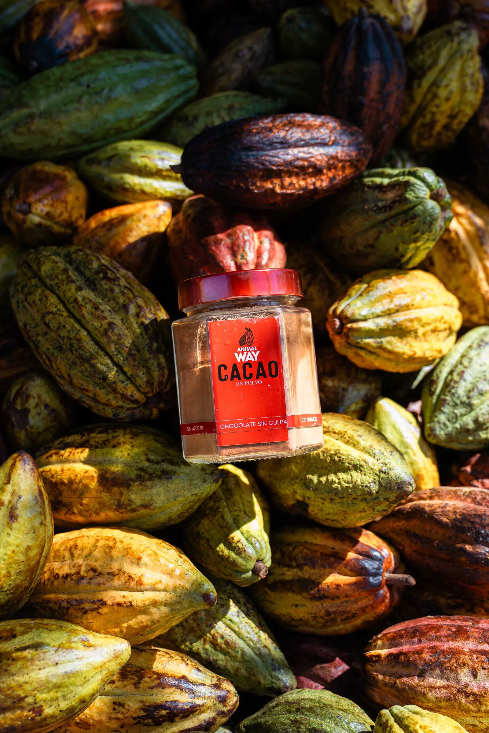 Cacao en Polvo 100%