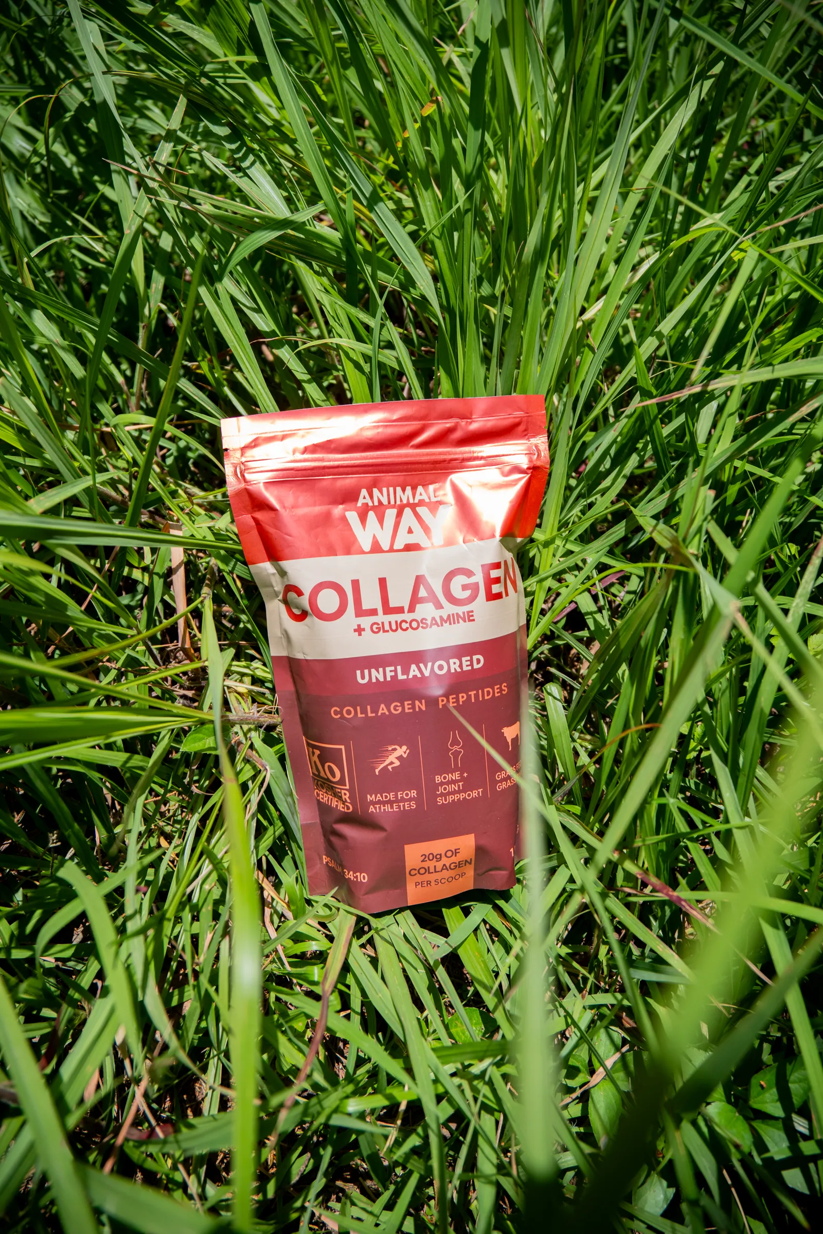 Collagen + Glucosamine