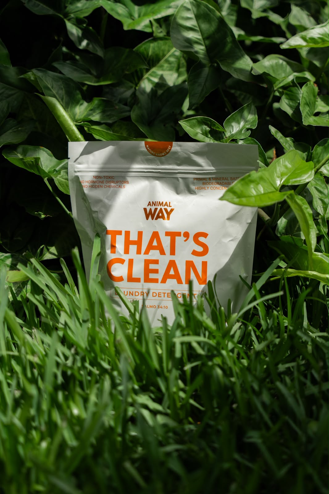 That’s Clean - Detergent