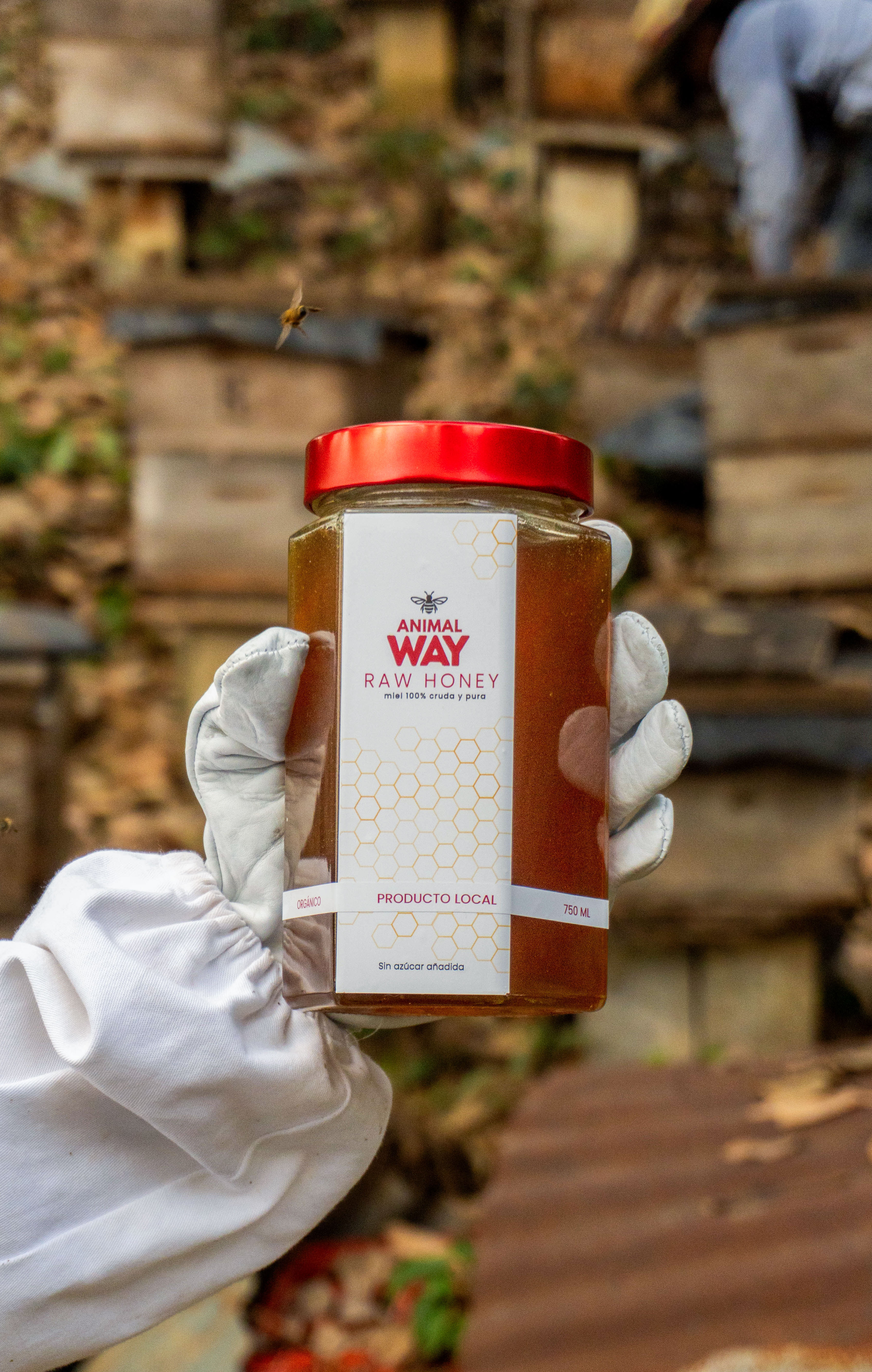 Raw Honey 750 ml