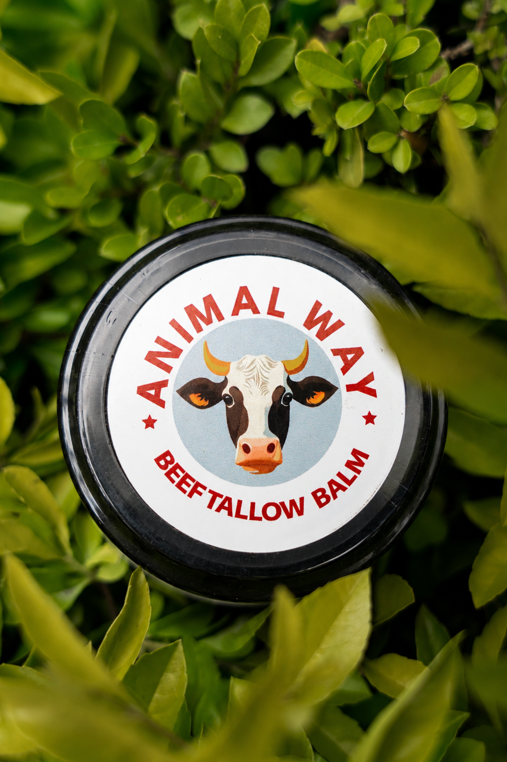 Tallow Honey Balm - vista alternativa